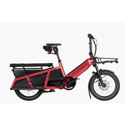 Riese &amp; Müller MULTITINKER2 VARIO